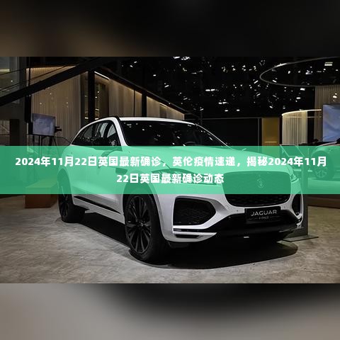 英伦疫情最新动态揭秘,英国最新确诊报告及疫情速递(日期,2024年11月22日)