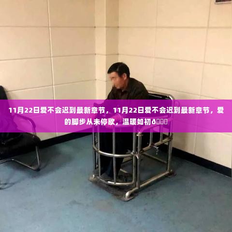 有张没智 第6页