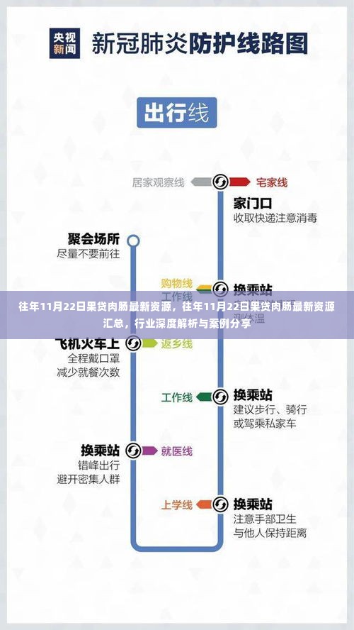 往年11月22日果贷肉肠最新资源汇总,深度解析与案例分享(违法犯罪领域)