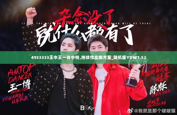 4933333王中王一肖中特,持续性实施方案_随机版YDW1.52
