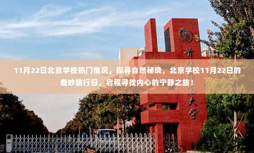 北京学校11月22日奇妙探险日,探寻自然秘境,启程心灵宁静之旅
