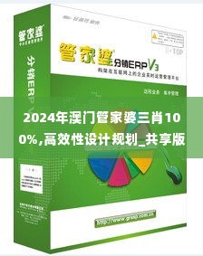 2024年澳门管家婆三肖100%,高效性设计规划_共享版NKV1.91