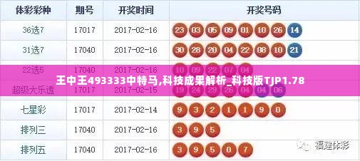 王中王493333中特马,科技成果解析_科技版TJP1.78