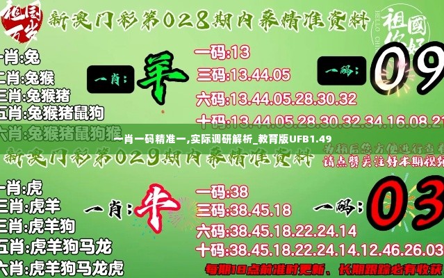 一肖一码精准一,实际调研解析_教育版UFB1.49
