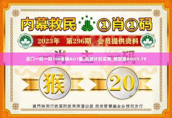 澳门一码一码100准确AO7版,高效计划实施_精致版KOO1.79