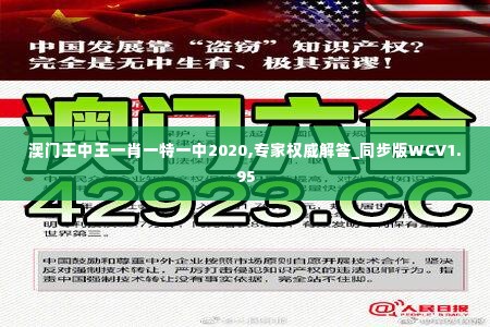 澳门王中王一肖一特一中2020,专家权威解答_同步版WCV1.95