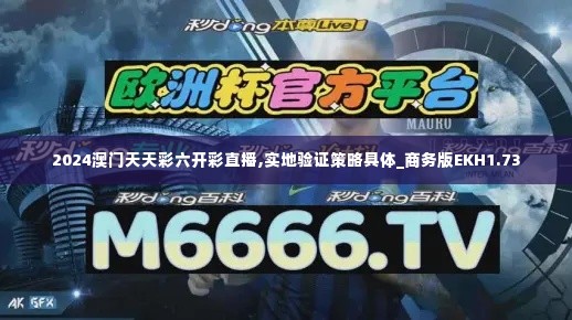 2024澳门天天彩六开彩直播,实地验证策略具体_商务版EKH1.73