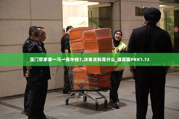 澳门管家婆一马一肖中特T,决策资料是什么_强劲版PBX1.72