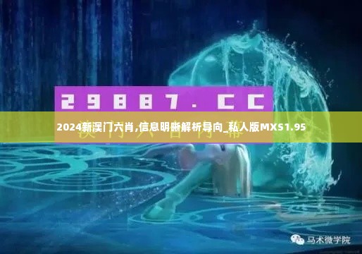 2024新澳门六肖,信息明晰解析导向_私人版MXS1.95