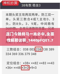 澳门今晚特马一肖必中,全面性解释说明_1440pFQE1.76