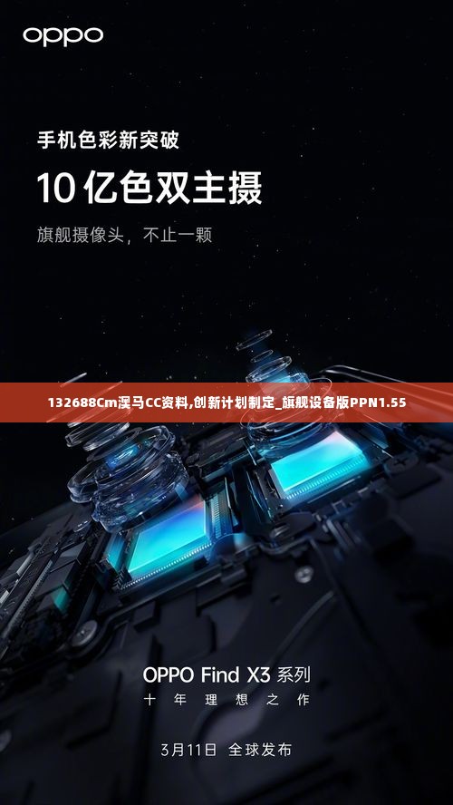132688Cm澳马CC资料,创新计划制定_旗舰设备版PPN1.55