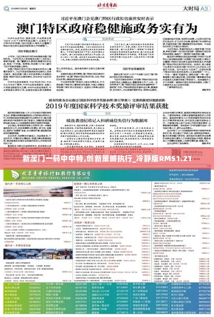 新澳门一码中中特,创新策略执行_冷静版RMS1.21