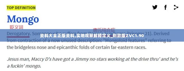 资料大全正版资料,实地观察解释定义_别致版ZVC1.90