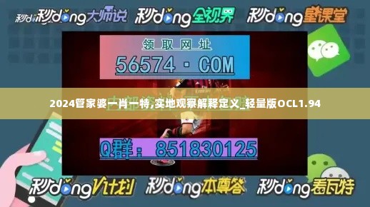 2024管家婆一肖一特,实地观察解释定义_轻量版OCL1.94