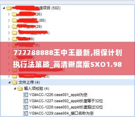 777788888王中王最新,担保计划执行法策略_高清晰度版SXO1.98