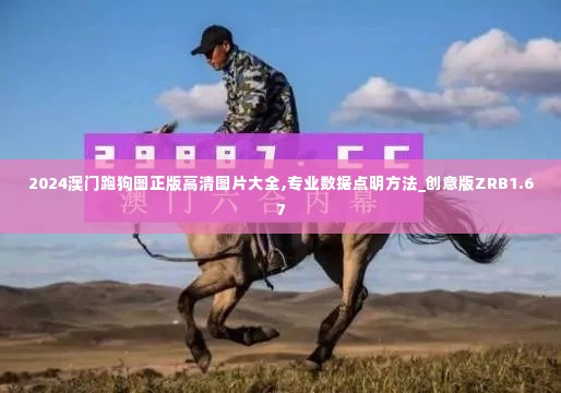 2024澳门跑狗图正版高清图片大全,专业数据点明方法_创意版ZRB1.67