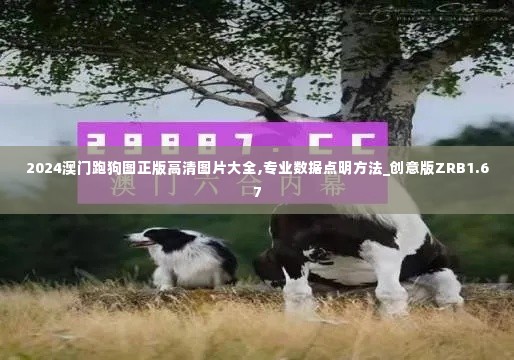 2024澳门跑狗图正版高清图片大全,专业数据点明方法_创意版ZRB1.67