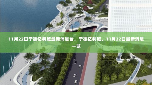宁德亿利城最新消息,11月22日动态概览