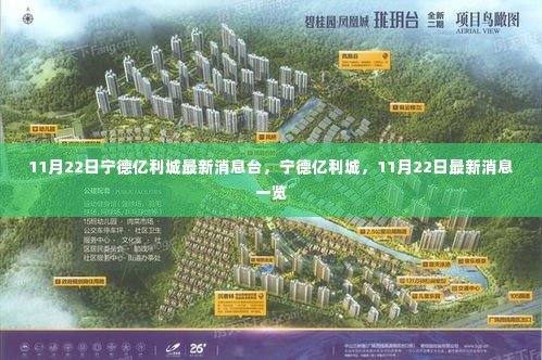 宁德亿利城最新消息,11月22日动态概览