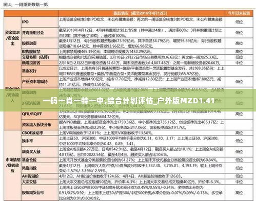 一码一肖一特一中,综合计划评估_户外版MZD1.41