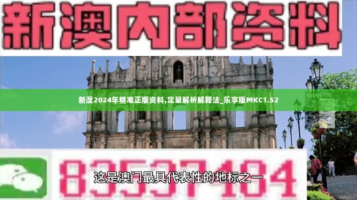 新澳2024年精准正版资料,定量解析解释法_乐享版MKC1.52