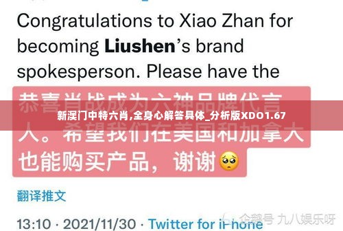 新澳门中特六肖,全身心解答具体_分析版XDO1.67