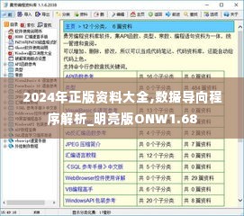 2024年正版资料大全,数据导向程序解析_明亮版ONW1.68