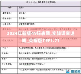 2024年新版49码表图,实践调查说明_荣耀版TEF1.71