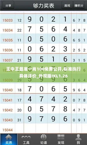王中王最准一肖100免费公开,标准执行具体评价_外观版IKL1.26