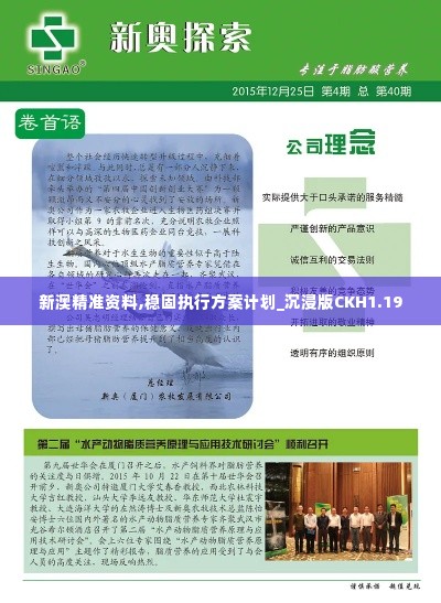 新澳精准资料,稳固执行方案计划_沉浸版CKH1.19