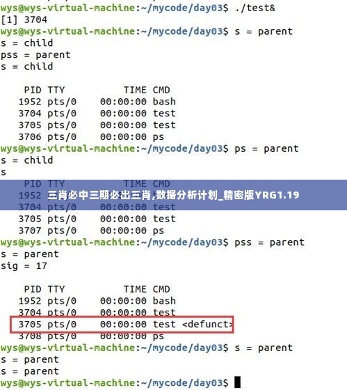 三肖必中三期必出三肖,数据分析计划_精密版YRG1.19