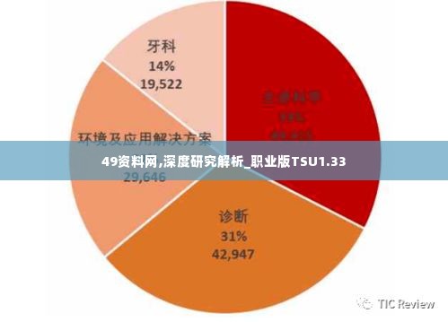 49资料网,深度研究解析_职业版TSU1.33