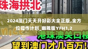 2024澳门天天开好彩大全正版,全方位操作计划_幽雅版YFH1.2