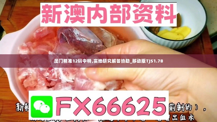 澳门精准12码中特,实地研究解答协助_移动版TJS1.78