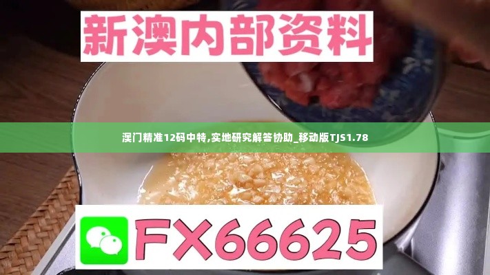 澳门精准12码中特,实地研究解答协助_移动版TJS1.78