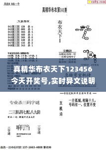 真精华布衣天下123456今天开奖号,实时异文说明法_寻找版GKY1.41