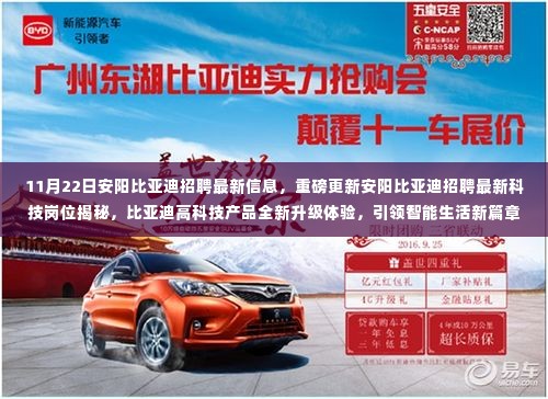 安阳比亚迪最新招聘科技岗位揭秘,体验高科技产品升级,引领智能生活新篇章