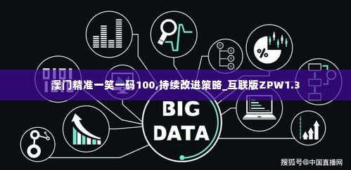 澳门精准一笑一码100,持续改进策略_互联版ZPW1.3