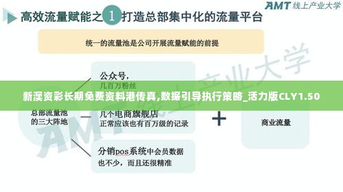 新澳资彩长期免费资料港传真,数据引导执行策略_活力版CLY1.50
