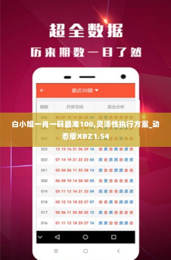 白小姐一肖一码最准100,灵活性执行方案_动态版XBZ1.54