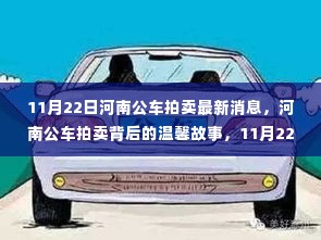 河南公车拍卖背后的故事,最新消息与奇遇日纪实