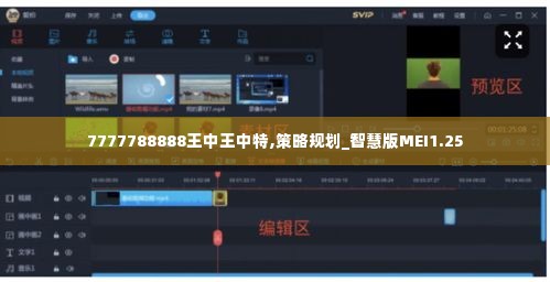 7777788888王中王中特,策略规划_智慧版MEI1.25