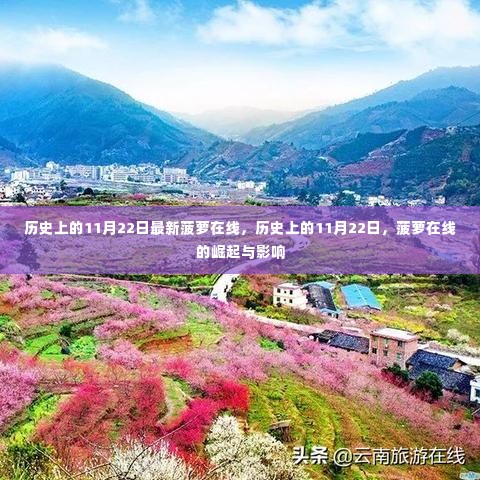 历史上的11月22日,菠萝在线的崛起与深远影响