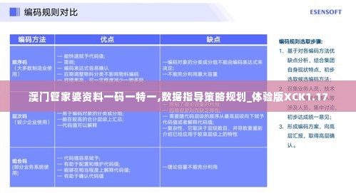 澳门管家婆资料一码一特一,数据指导策略规划_体验版XCK1.17