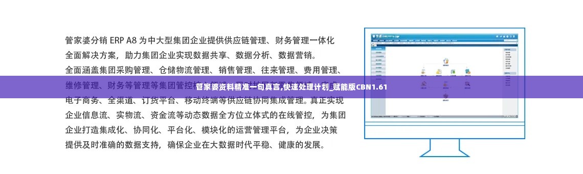 管家婆资料精准一句真言,快速处理计划_赋能版CBN1.61