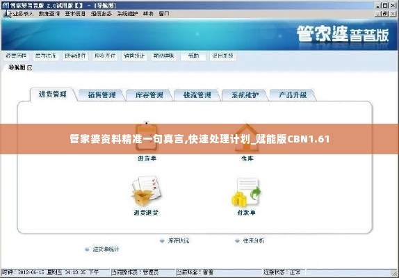 管家婆资料精准一句真言,快速处理计划_赋能版CBN1.61