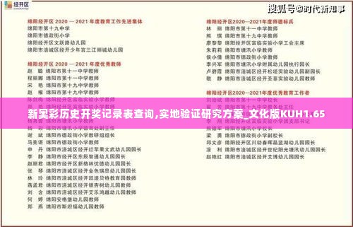 新奥彩历史开奖记录表查询,实地验证研究方案_文化版KUH1.65
