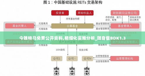 今晚特马免费公开资料,精细化实施分析_随身版BDK1.3