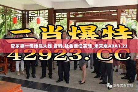 管家婆一句话赢大钱 资料,社会责任实施_未来版ABA1.22