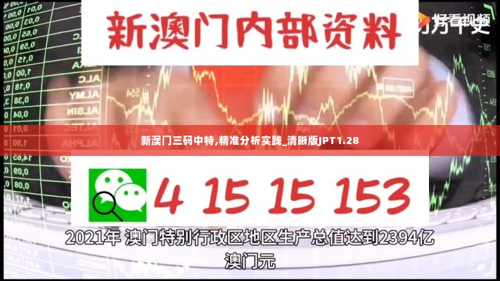 新澳门三码中特,精准分析实践_清晰版JPT1.28